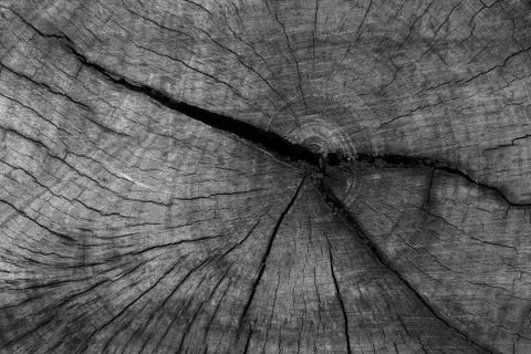 Wood texture Stock Photos
