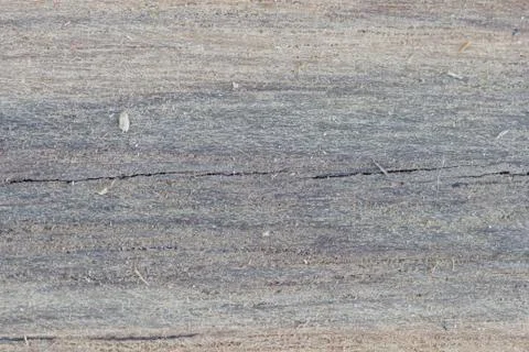 Wood texture Stock Photos