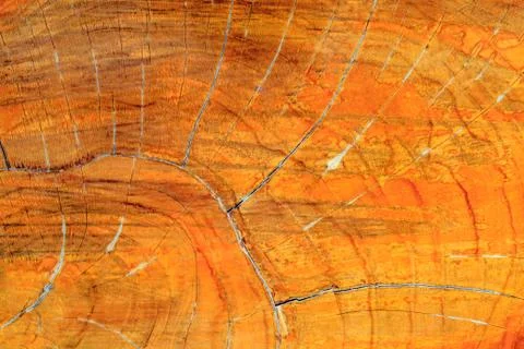 Wood texture Stock Photos