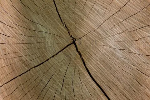 Wood texture Stock Photos