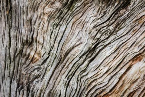 Wood texture Stock Photos