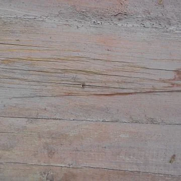 Wood texture Stock Photos