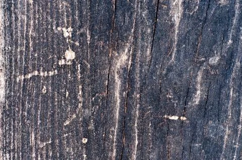 Wood texture Stock Photos