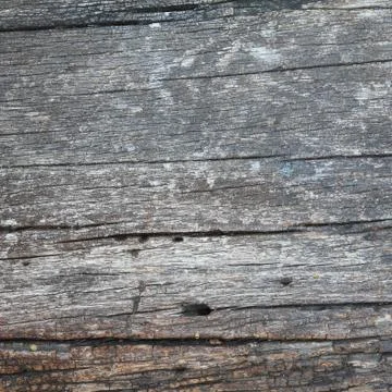 Wood texture 스톡 사진