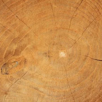 Wood texture Stock Photos