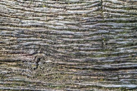 Wood texture Stock Photos