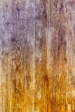 Wood texture Stock Photos