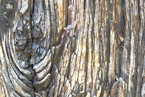 Wood texture 스톡 사진