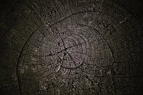 Wood texture Stock Photos