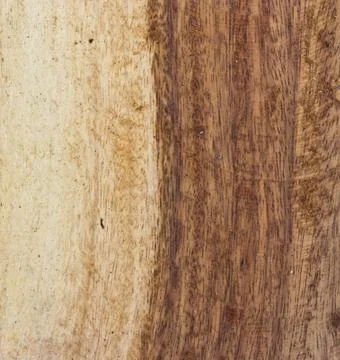 Wood texture Stock Photos