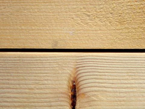 Wood texture Stock Photos