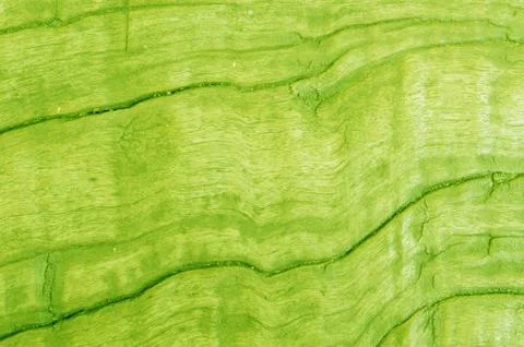 Wood texture Foto stock