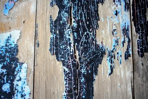 Wood texture Stock Photos