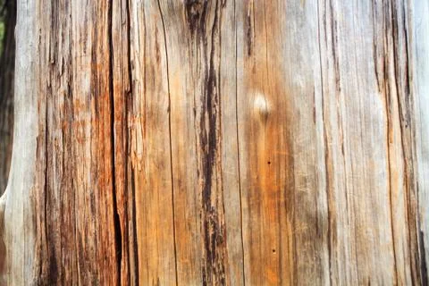 Wood texture Stock Photos