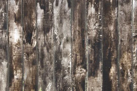 Wood texture Stock Photos