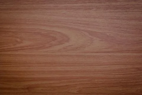 Wood texture. Stock Photos