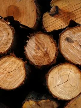 Wood texture Stock Photos