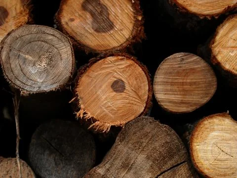 Wood texture Stock Photos