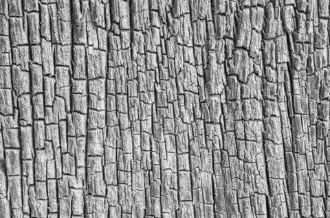 Wood texture Stock Photos