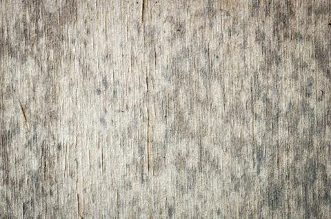 Wood texture Stock Photos