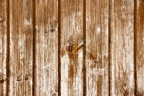 Wood texture Stock Photos