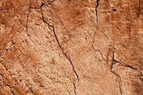 Wood texture Stock Photos