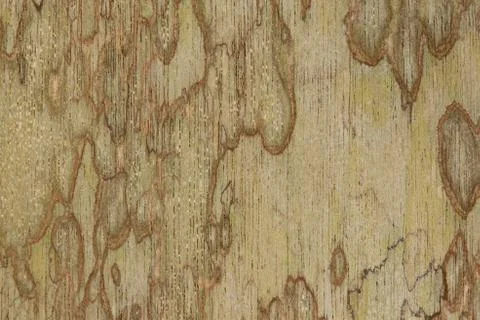 Wood texture Stock Photos