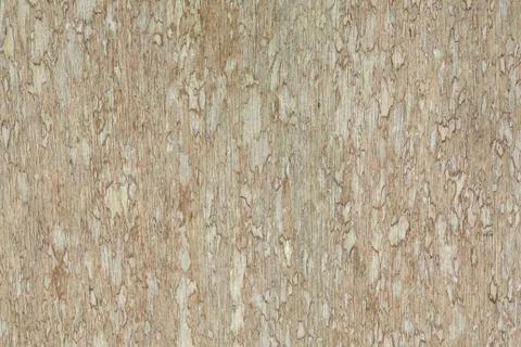 Wood texture Stock Photos