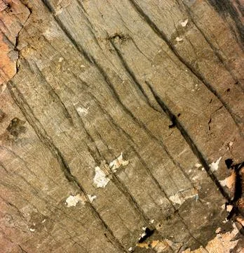 Wood texture Stock Photos