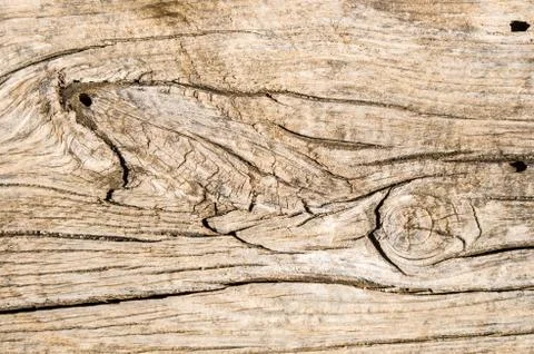 Wood texture Stock Photos