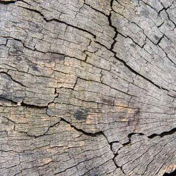 Wood texture Stock Photos