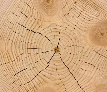 Wood texture Stock Photos