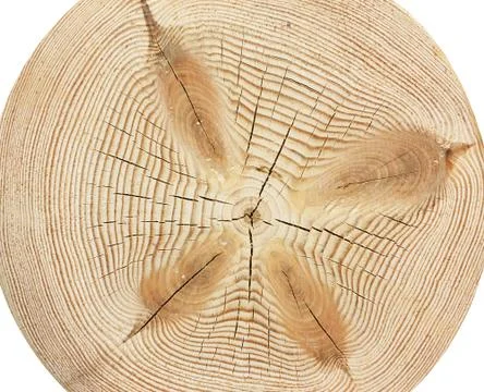 Wood texture Stock Photos