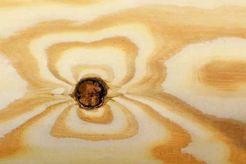 Wood texture Foto stock