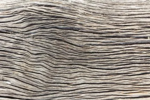 Wood texture Stock Photos
