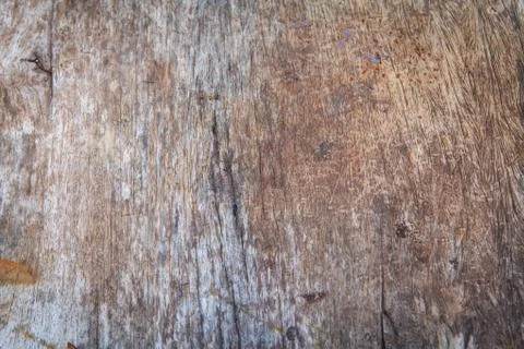Wood texture. Stock Photos