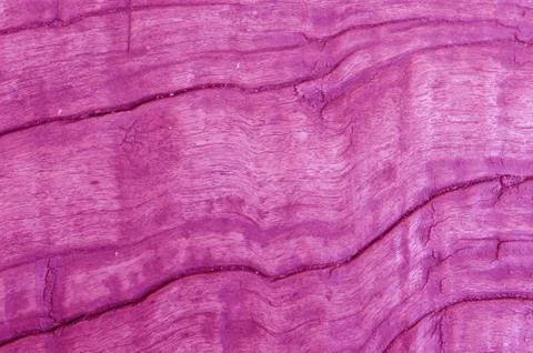 Wood texture Foto stock