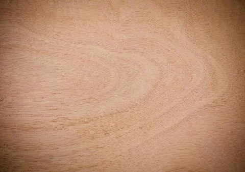 Wood texture . Stock Photos