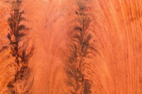 Wood texture Foto stock