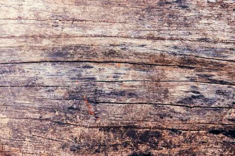 Wood texture Stock Photos