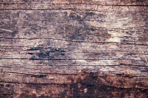 Wood texture Stock Photos