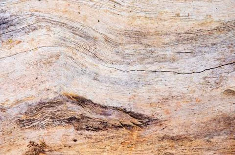 Wood texture Stock Photos