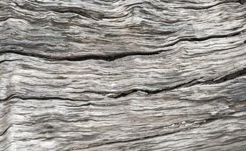 Wood Texture Stock Photos