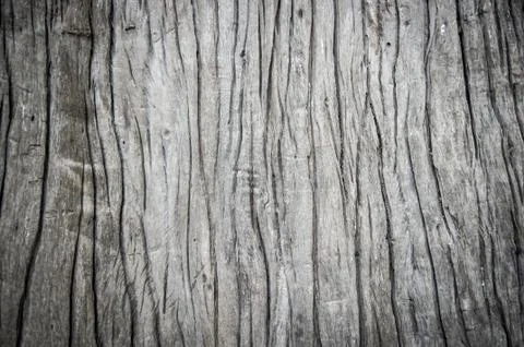 Wood Texture Stock Photos