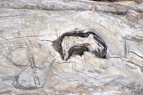 Wood texture Stock Photos