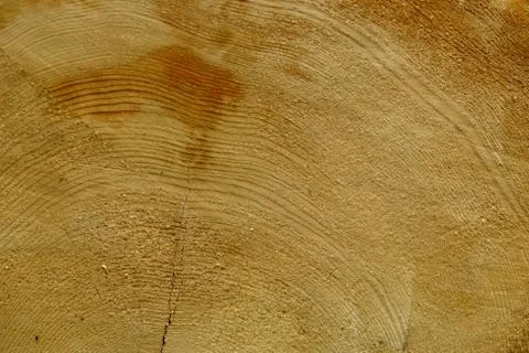 Wood texture Stock Photos