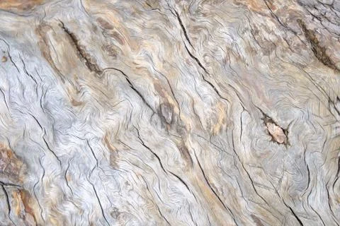 Wood texture Stock Photos