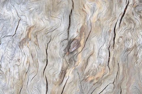 Wood texture Stock Photos