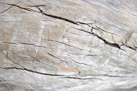 Wood texture Stock Photos