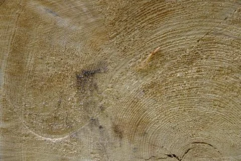 Wood texture Stock Photos